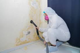 Best Mold Damage Restoration  in Lyndon, KS